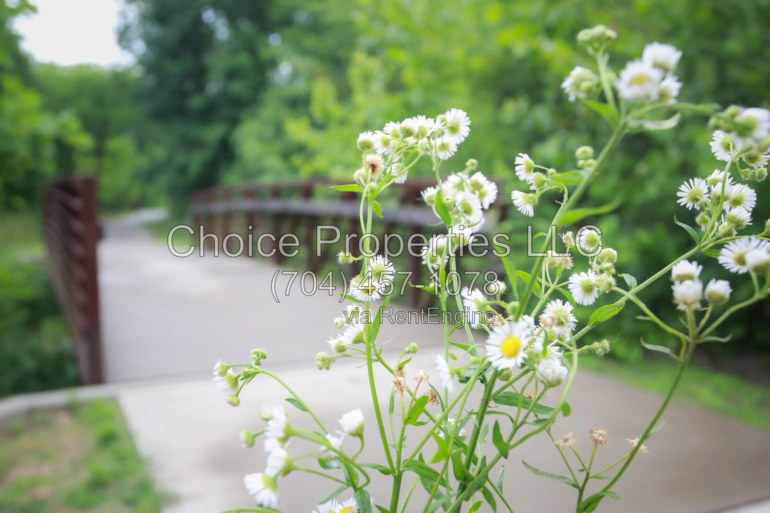 9148 Hillston Ridge in Melbourne. property image